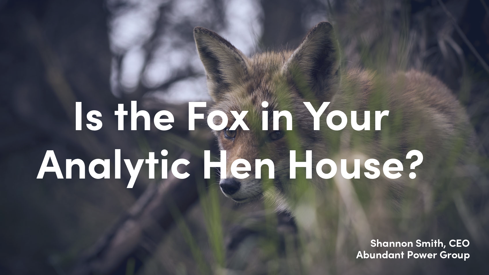 Is The Fox in Your Analytics Henhouse?